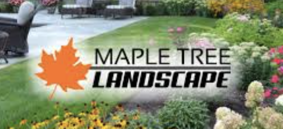 Maple Tree Landscaping